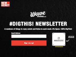 #DigThis! Newsletter